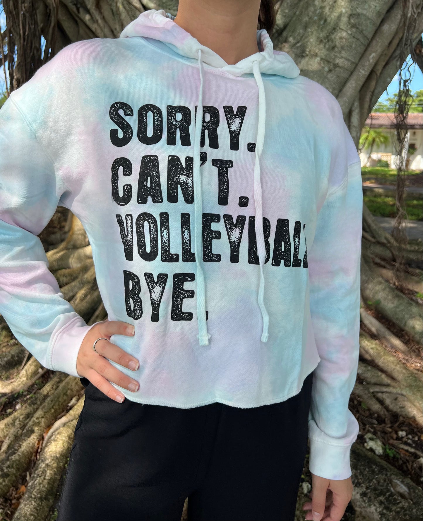 Tie-Dye VB Cropped Hoodie